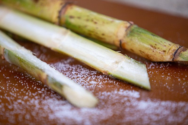 Brasil testa seu poder global nos biocombustíveis e avança