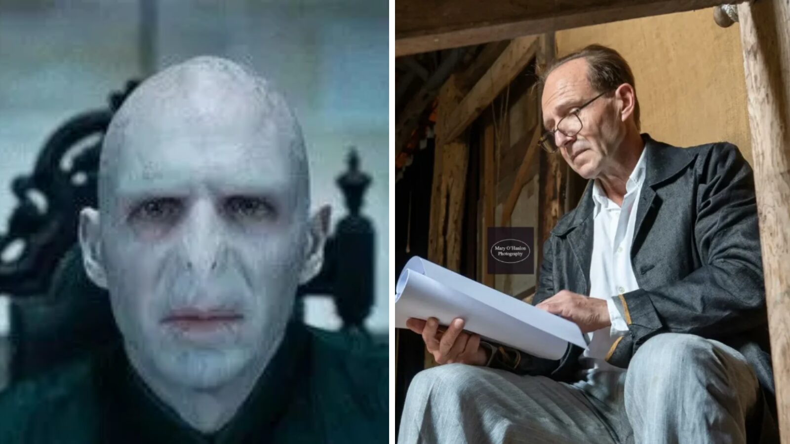 Ator de “Harry Potter” nega vontade de atuar em reprise e revela substituta