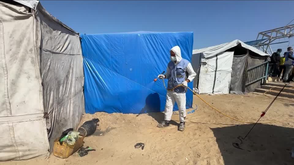 Famílias em Gaza lutam contra infestação de ratos e doenças