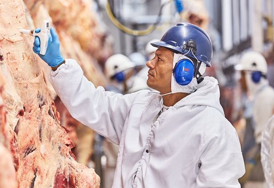 Minerva projeta maior rentabilidade com China e investimentos estratégicos