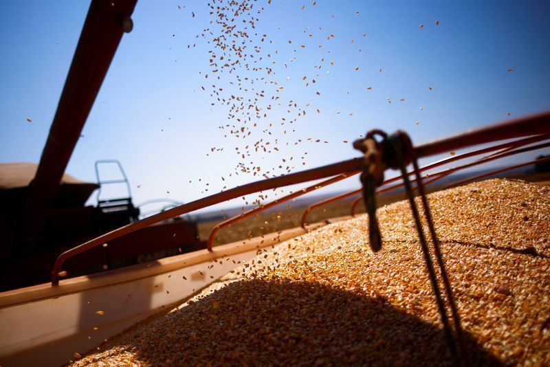 Consultoria eleva estimativa para safra de soja e milho 2023