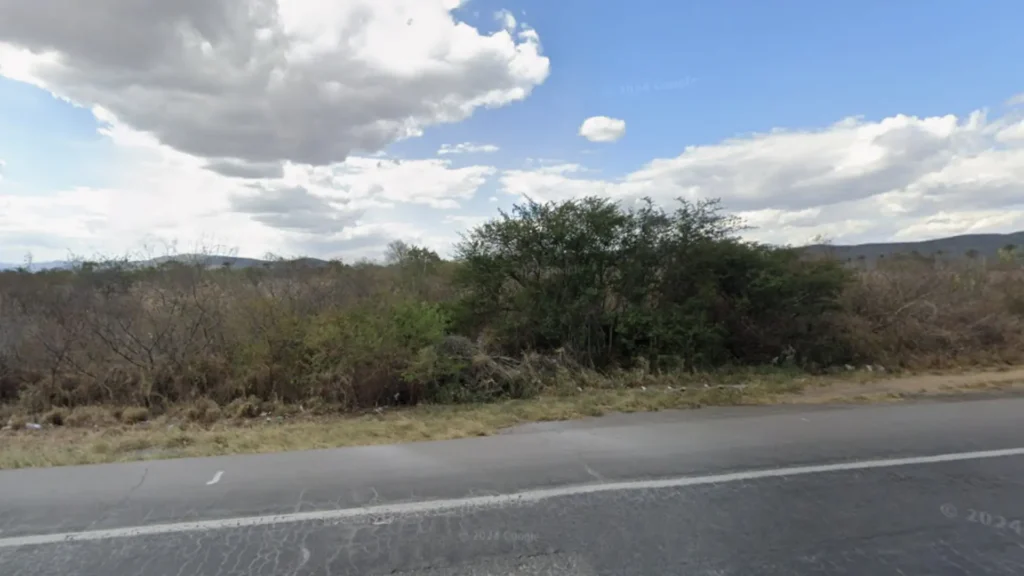 Acidente entre van e caminhão deixa 16 mortos na BR-116, Bahia