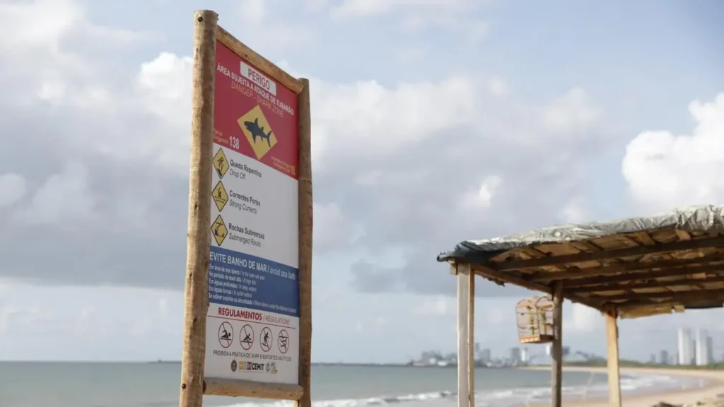 Vítimas de ataques de tubarão estão internadas na UTI em Pernambuco: saiba mais sobre o caso.