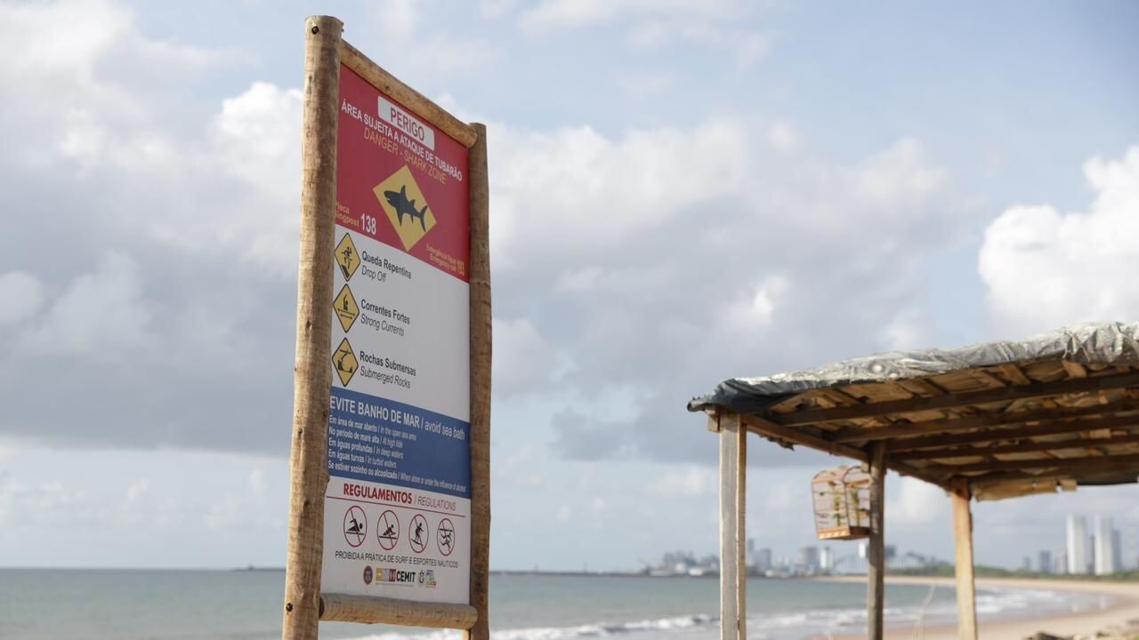 Vítimas de ataques de tubarão estão internadas na UTI em Pernambuco: saiba mais sobre o caso.
