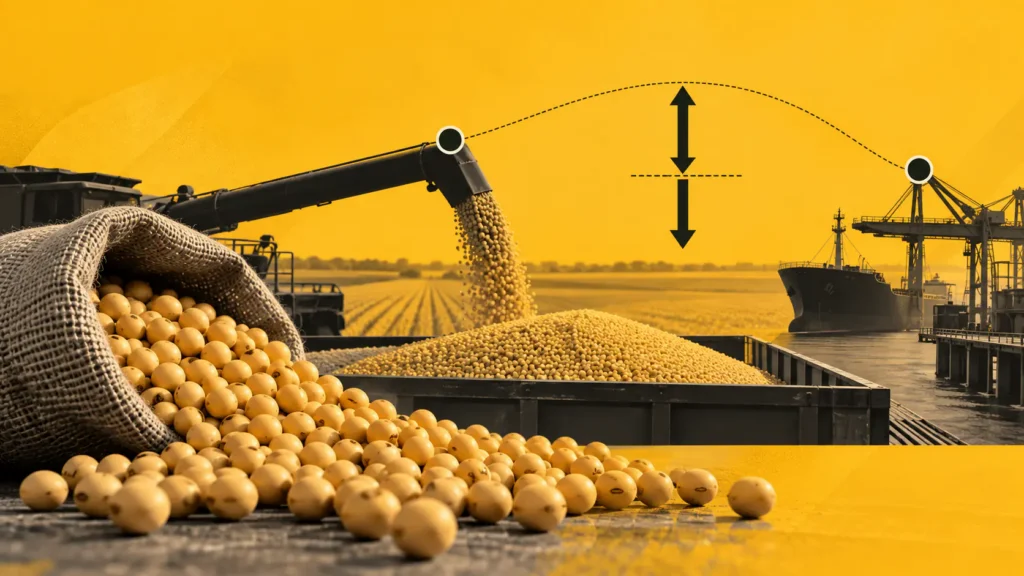 Basis e o prêmio da soja: impacto no preço ao produtor