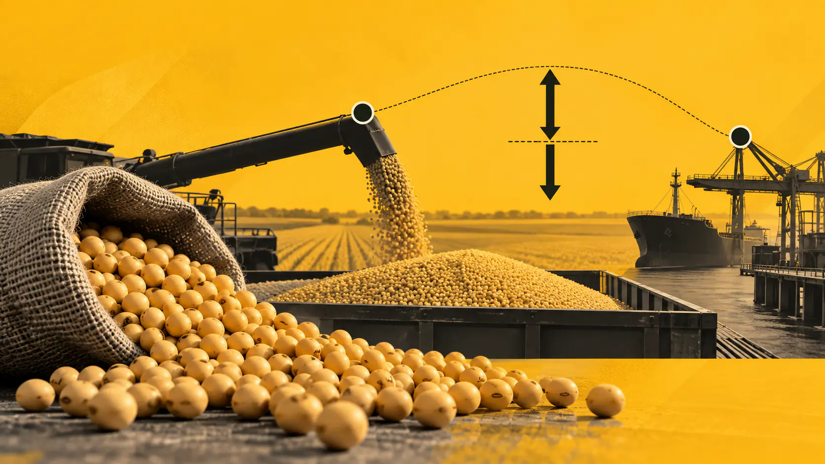 Basis e o prêmio da soja: impacto no preço ao produtor