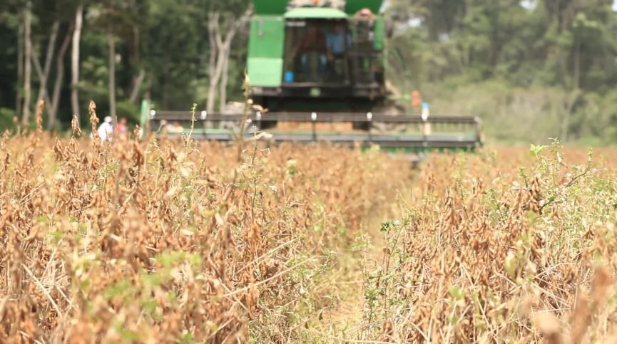 Importação de máquinas agrícolas sobe 42%; confira os impactos econômicos
