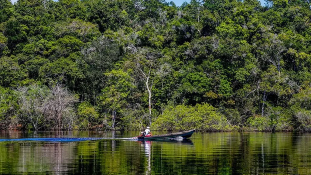 Queda do desmatamento na Amazônia evita emissões significativas