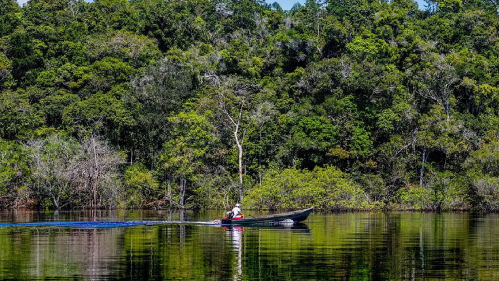 Queda do desmatamento na Amazônia evita emissões significativas