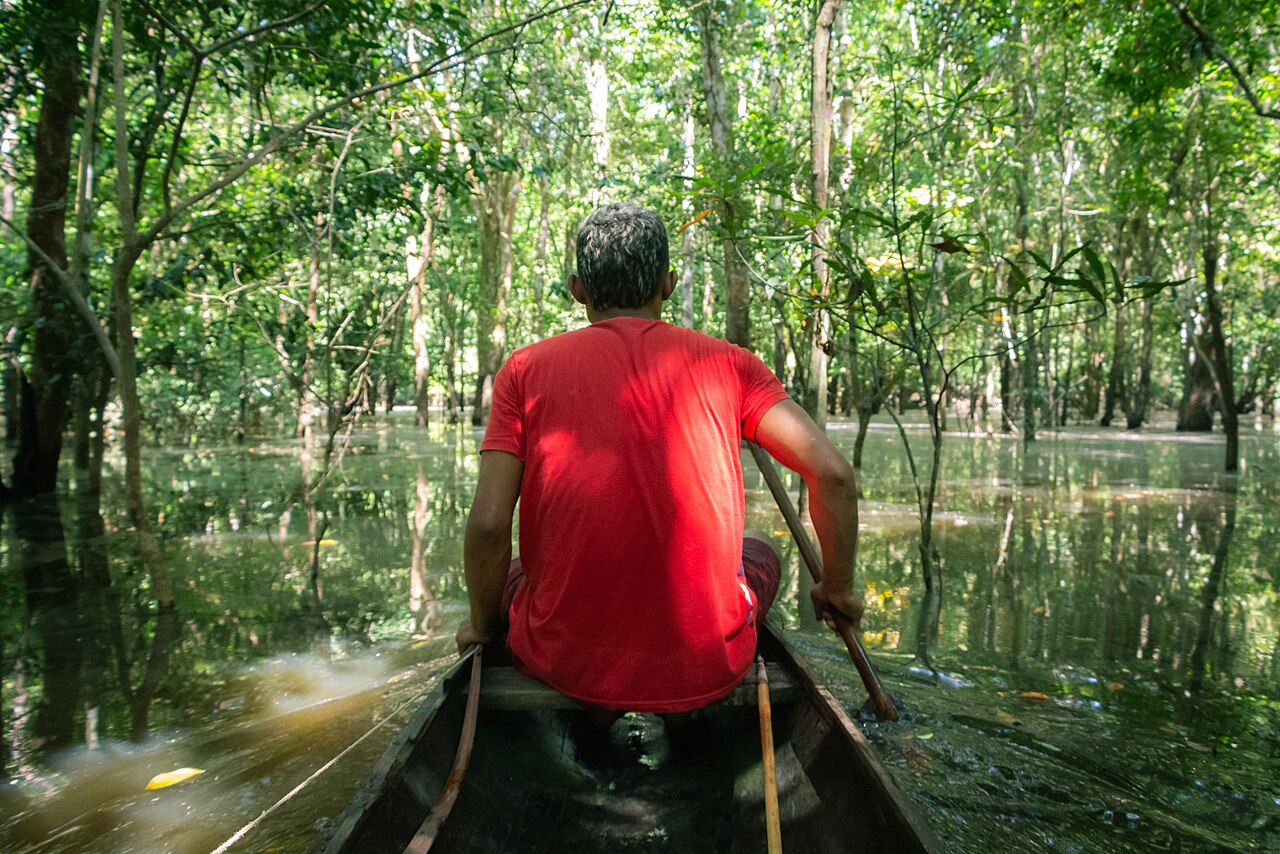 Homem rema canoa em área de floresta alagada no rio Juruá